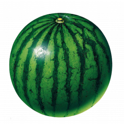 Circle Shape Fruit Clip art - watermelon 2953*2953 transprent Png ...