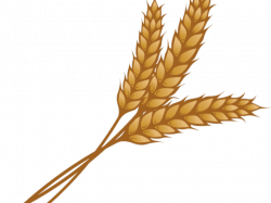 19 Garland clipart wheat HUGE FREEBIE! Download for PowerPoint ...