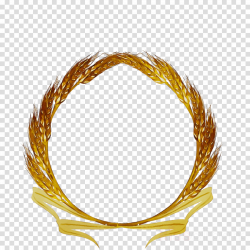 Circle Gold clipart - Wheat, Yellow, Circle, transparent ...