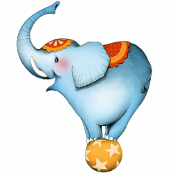 28+ Collection of Circus Elephant Clipart Png | High quality, free ...