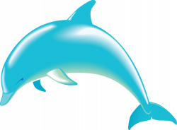 28+ Collection of Dolphin Clipart Free Download | High quality, free ...