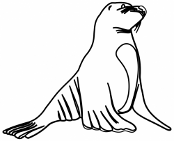 28+ Collection of Sea Lion Clipart Black And White | High quality ...