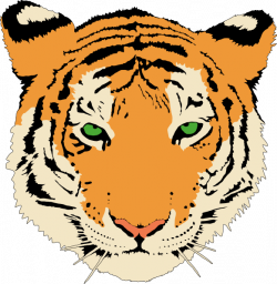 Tiger Face Clip Art Black And White | Clipart Panda - Free Clipart ...