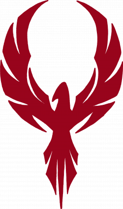 Tribal Phoenix - rebellion symbol. Spray-painted on the crumbled ...