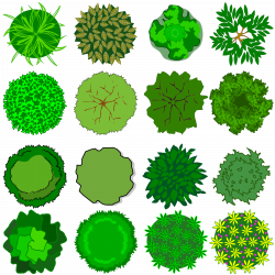 28+ Collection of Tree Clipart Top View | High quality, free ...