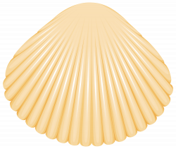 Clam Shell PNG Clip Art - Best WEB Clipart