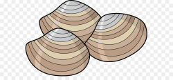 Clam Mussel Oyster Clip art - Clams Cliparts png download - 635*401 ...