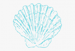 Shell Clipart Pink - Seashell Clipart Blue #56053 - Free ...