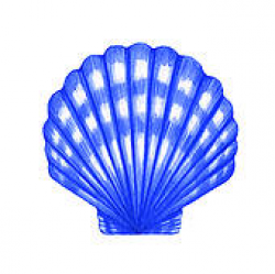 Seashells Cliparts | Free download best Seashells Cliparts ...