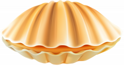 Clam Shell PNG Clip Art Transparent Image | Gallery Yopriceville ...
