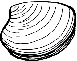 clam shell clip art free - Google Search | Chowders | Free ...