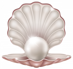 Beautiful Clam with Pearl PNG Clipart Image | Gallery Yopriceville ...