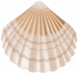 Seashell PNG Clip Art - Best WEB Clipart