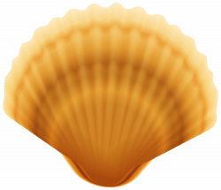 Clam Shell Transparent PNG Image | Gallery Yopriceville - High ...