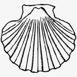 Clam Clipart Shel - Shell Black And White #889515 - Free ...
