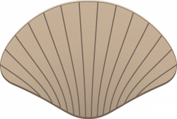 Clipart - Shell