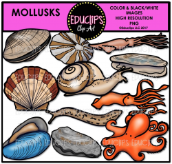 Mollusks Clip Art Bundle (Color and B&W)