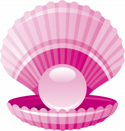 Clam Pearl Seashell - Pink fresh pearl shell 3001*3157 transprent ...