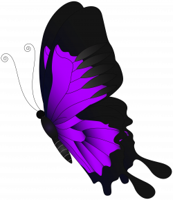 Purple Flying Butterfly PNG Clip Art | Gallery Yopriceville - High ...