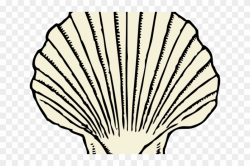 Clams Clipart Scallop Shell - Shell Clipart Black And White ...