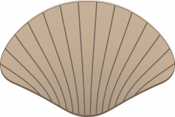 Scallop Shell Mussel Clam | Shell | Pinterest | Scallop shells ...