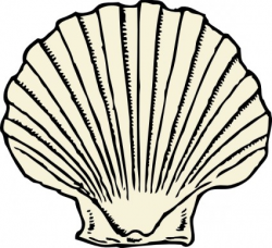 Scallop Shell clip art | Clipart Panda - Free Clipart Images