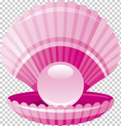 Clam Pearl Seashell PNG, Clipart, Baking Cup, Blue, Cartoon ...