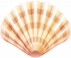 Sea Clam Shell PNG Clip Art Image | Gallery Yopriceville - High ...