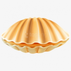 Download Clipart Photo - Clam Shell Png #797842 - Free ...