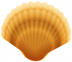 Clam Shell Transparent PNG Image | Gallery Yopriceville - High ...