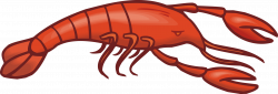Lobster clipart shellfish - Pencil and in color lobster clipart ...