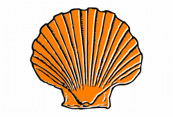 Small - Clipart Sea Shell Free PNG Images & Clipart Download ...
