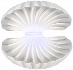 Open Clam Shell PNG Clip Art Transparent Image | Gallery ...