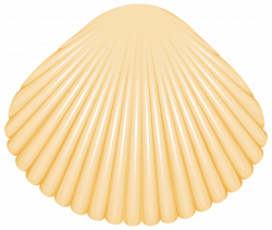 clam shell png - Free PNG Images | TOPpng