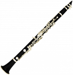 Clarinet!! Repin if u play the clarinet!!! | Clarinet | Pinterest ...