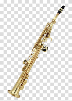 Chang Lien-cheng Saxophone Museum Soprano saxophone Tenor ...
