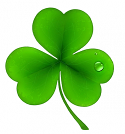 patrick's day png | St Patricks Day Shamrock Clover PNG Clipart ...