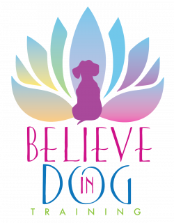 Class Schedule — Stephanie Bennett Houston | Believe in Dog Training ...