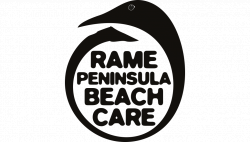 Identity & website design; N9 for Rame Peninsula Beach Care | N9 Design