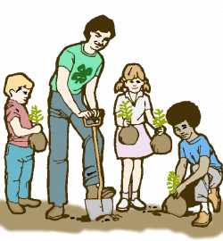 India environment: PLANT TREES AROUND YOUR HOME ...