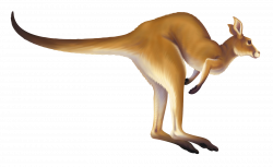 Hopping kangaroo clipart - Clipart Collection | Kangaroo clip art ...