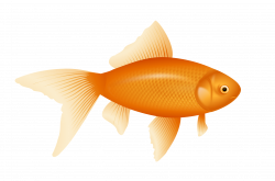 gold fish PNG image | cliparts ... by ☆ Agatka ☆ | Pinterest | Fish