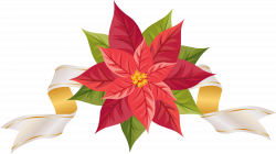 Poinsettia with Ribbon PNG Clipart Image | Gallery Yopriceville ...