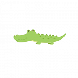 Baby shower Party Animal Clip art - crocodile 800*800 transprent Png ...