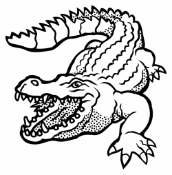 crocodile black and white clipart - OurClipart