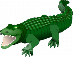 Crocodile clip Alligator Clip art - alligator png download ...