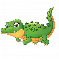 Crocodiles Alligator Illustration - Cute crocodile 1800*1800 ...