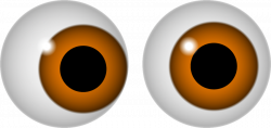 28+ Collection of See Eyes Clipart | High quality, free cliparts ...