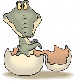Alligator Hatching Clip Art at Clker.com - vector clip art online ...