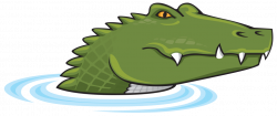 Alligator Charlotte NC
